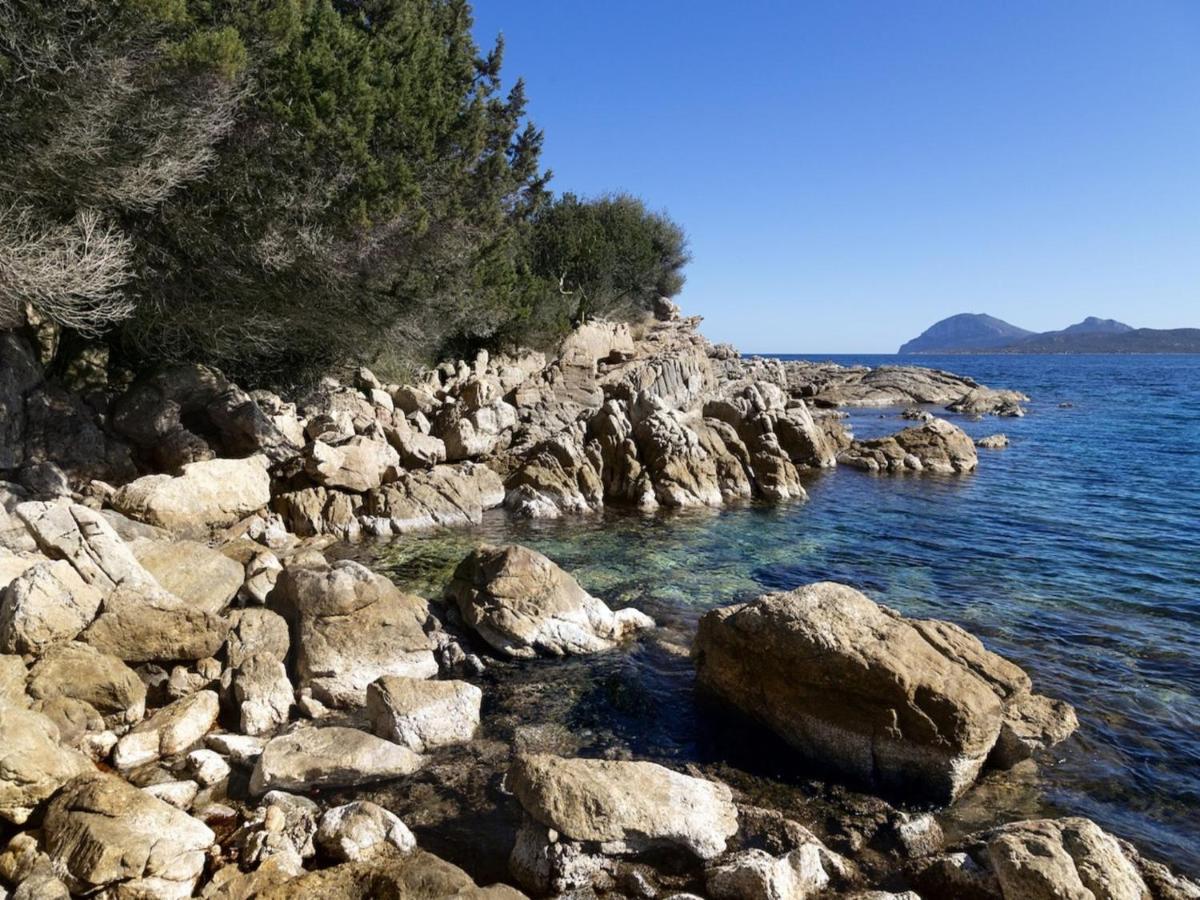 Apartment La Nina By Interhome Porto Rotondo Eksteriør bilde